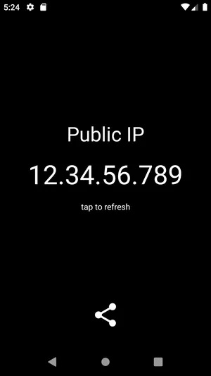 Public IP